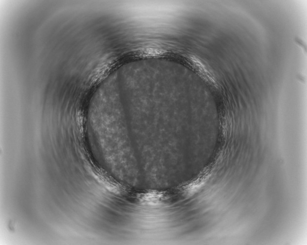 X0000093460366200711021139