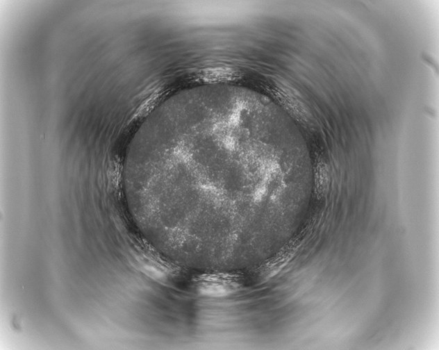 X0000093460367200711021139