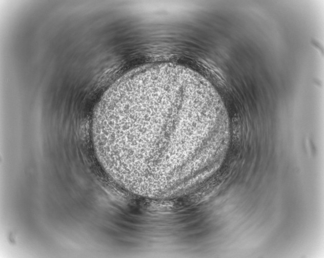 X0000093460369200711021139