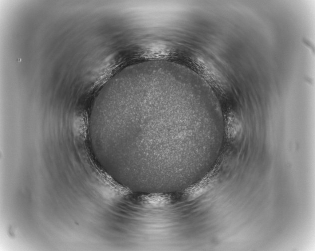 X0000093460370200711021139