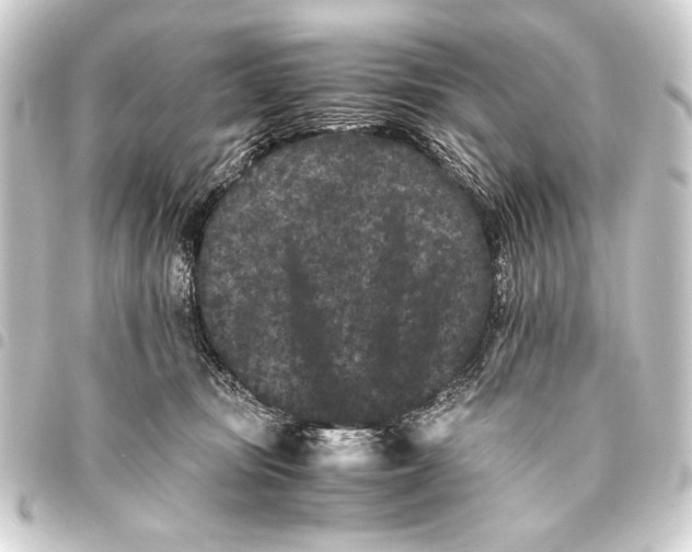 X0000093460371200711021139