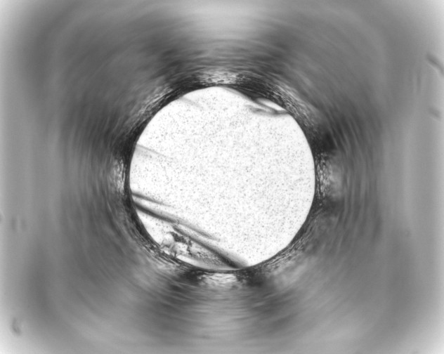 X0000093460374200711021139