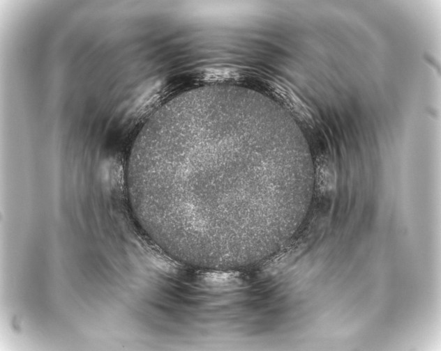 X0000093460375200711021139