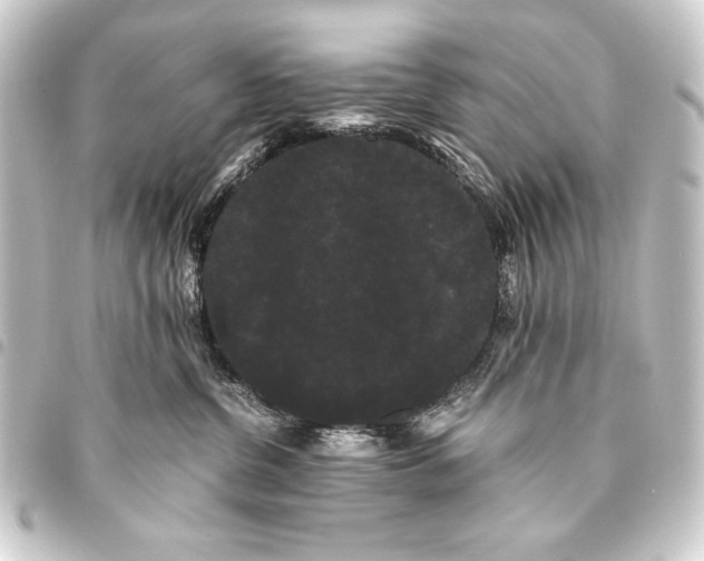 X0000093460380200711021139