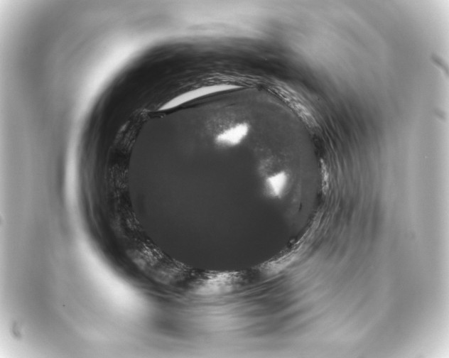 X0000093460382200711021139