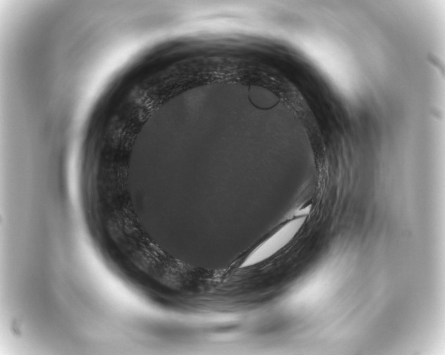 X0000093460383200711021139