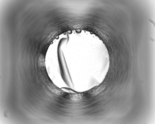 X0000093460384200711021139