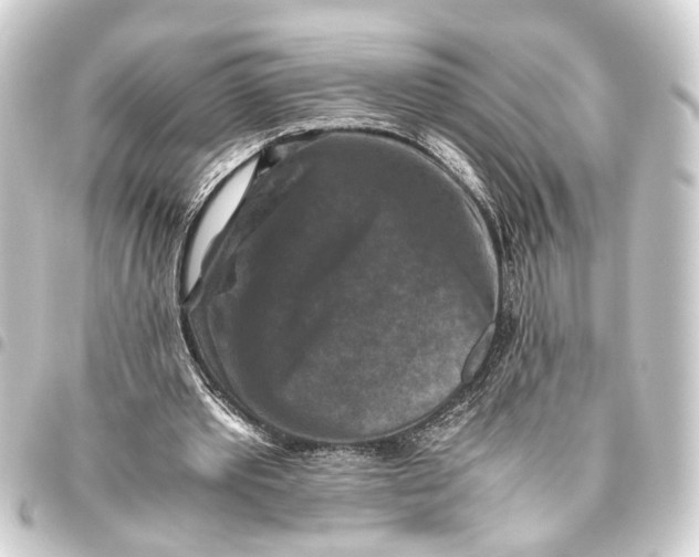 X0000093460389200711021138