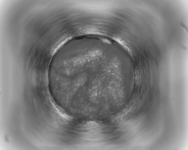 X0000093460390200711021138