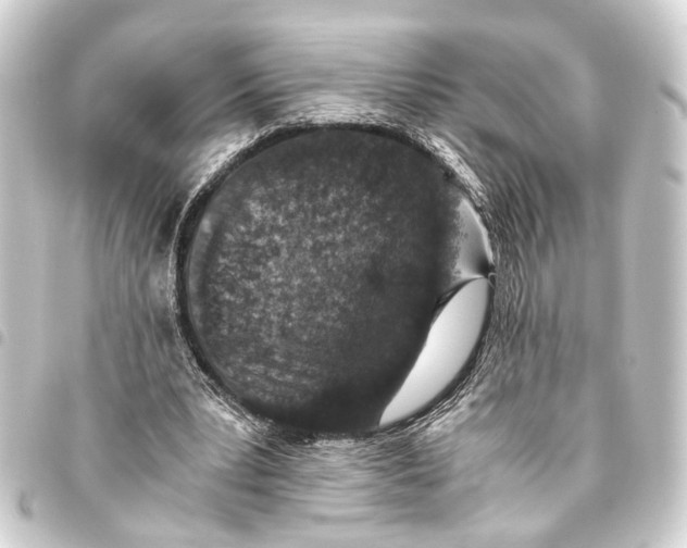 X0000093460391200711021138