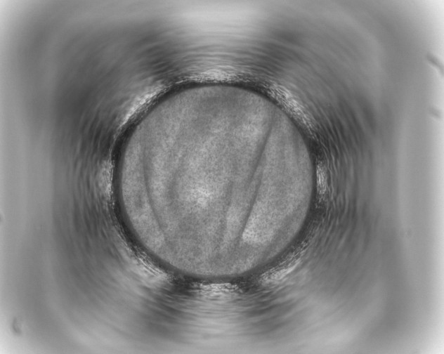 X0000093460396200711021138