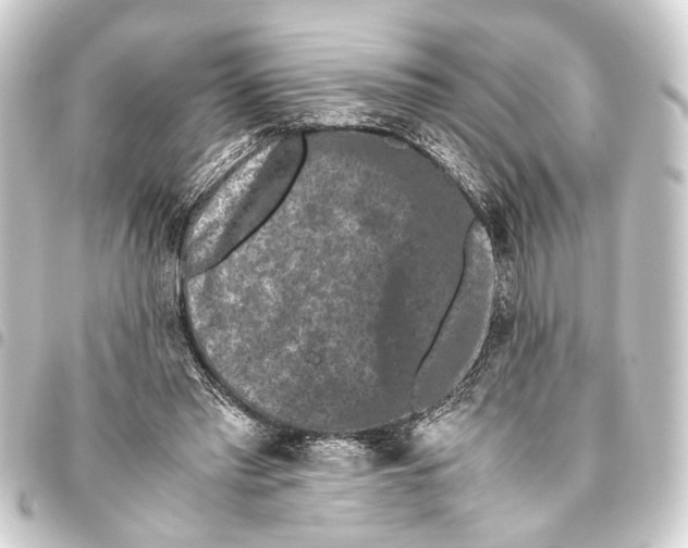 X0000093460397200711021138