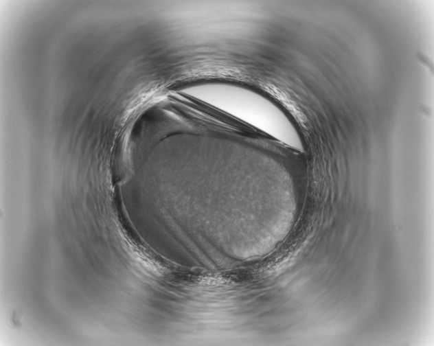 X0000093460399200711021138