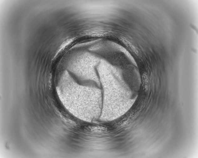 X0000093460400200711021138