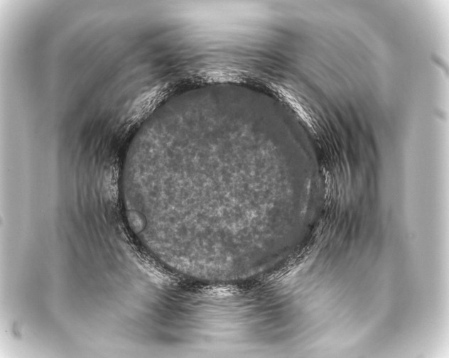 X0000093460402200711021138