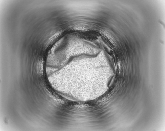 X0000093460404200711021138