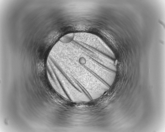 X0000093460407200711021138