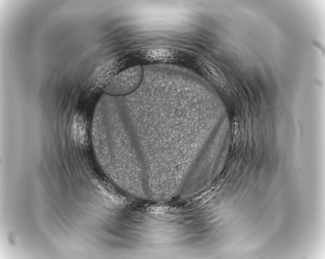 X0000093460408200711021138