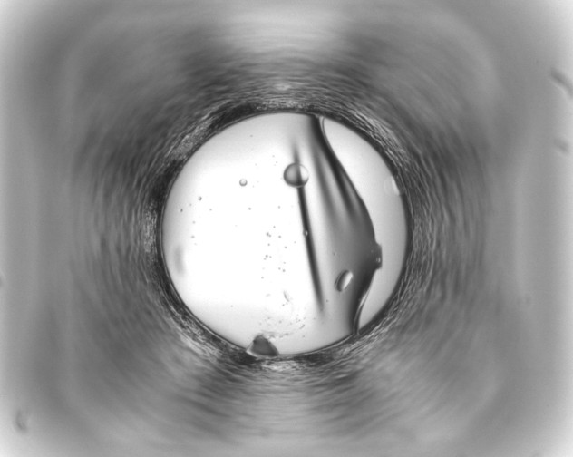 X0000093460409200711021138