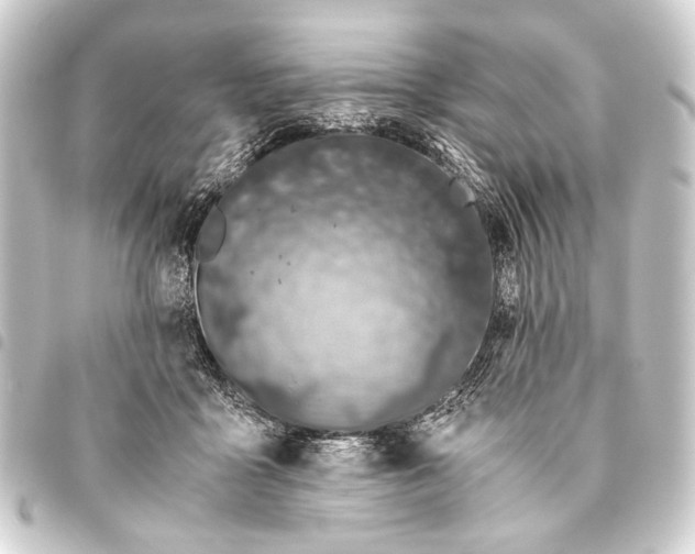 X0000093460411200711021138