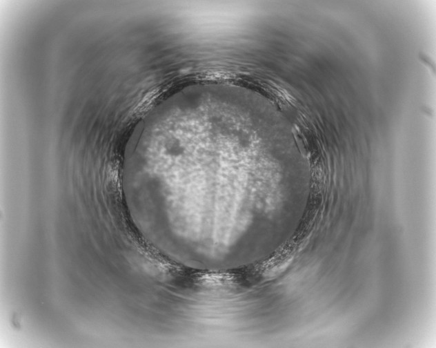 X0000093460415200711021138