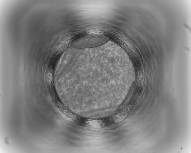 X0000093460417200711021138