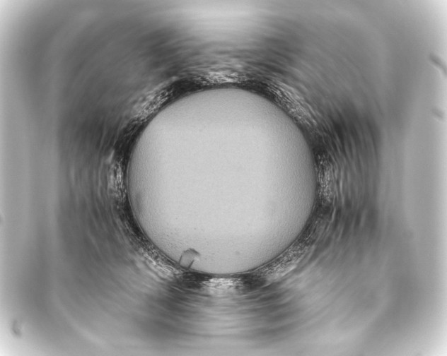 X0000093460418200711021138