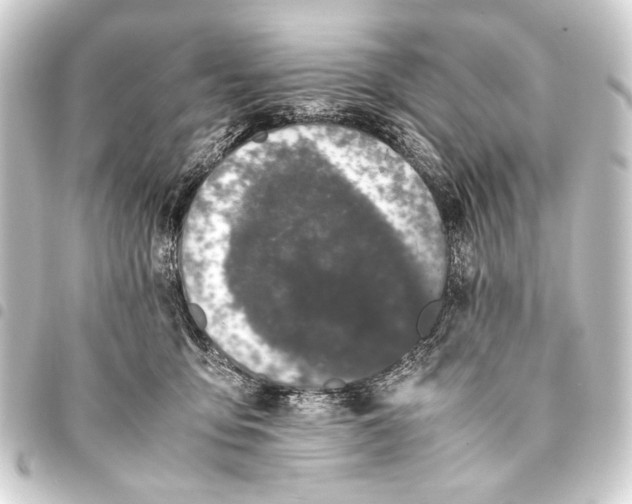 X0000093460419200711021138