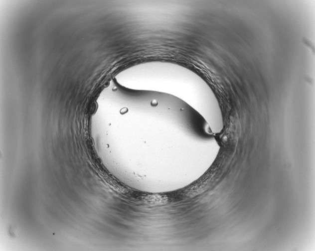 X0000093460421200711021138