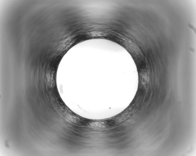 X0000093460422200711021138