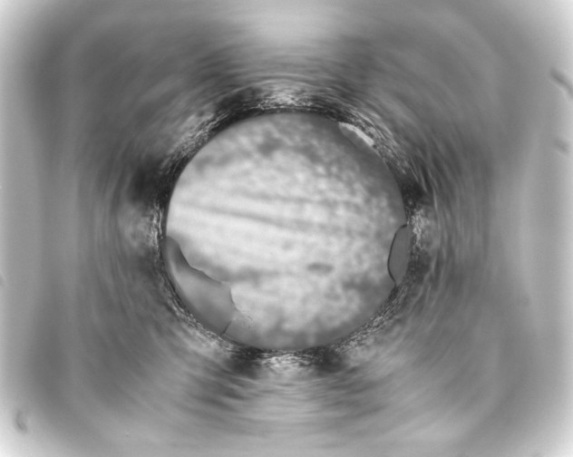 X0000093460423200711021138