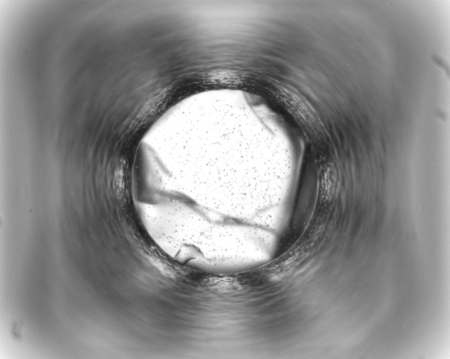 X0000093460424200711021138