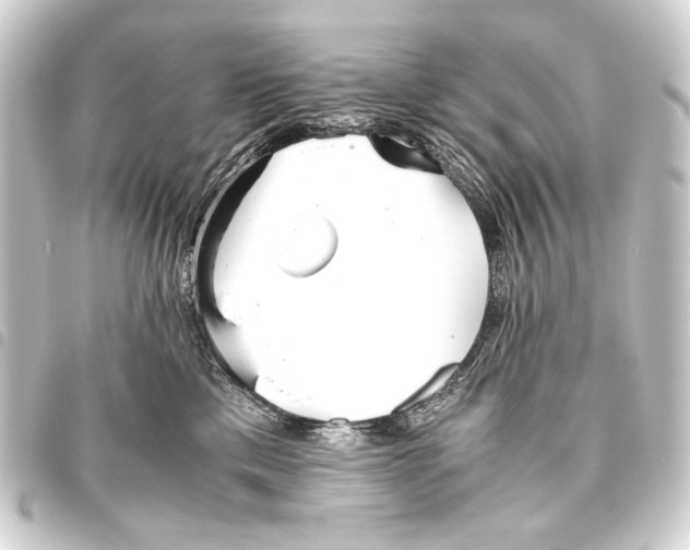 X0000093460425200711021138