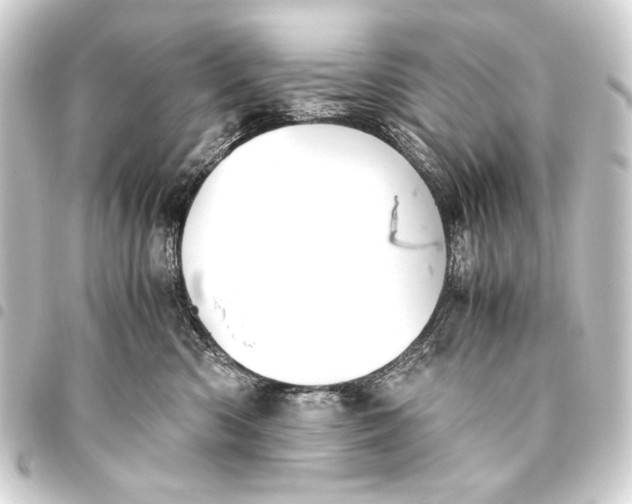 X0000093460426200711021138