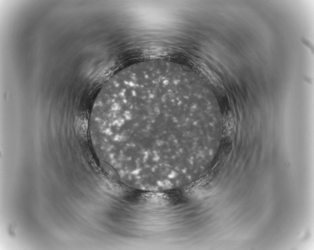 X0000093460427200711021138