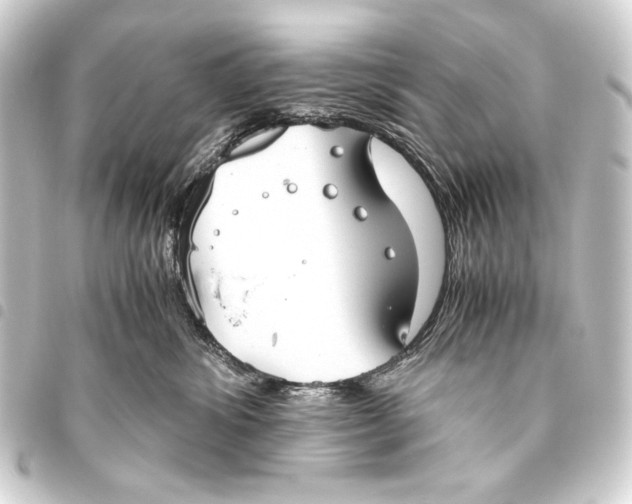 X0000093460428200711021138