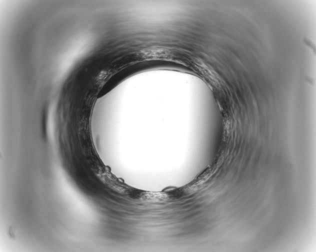 X0000093460429200711021138