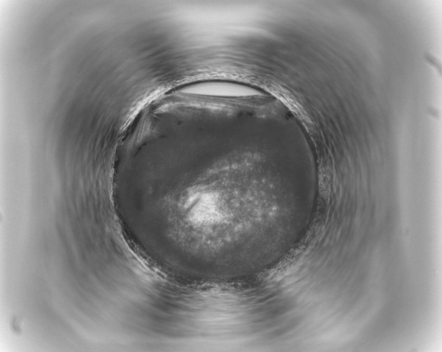 X0000093460434200711021137