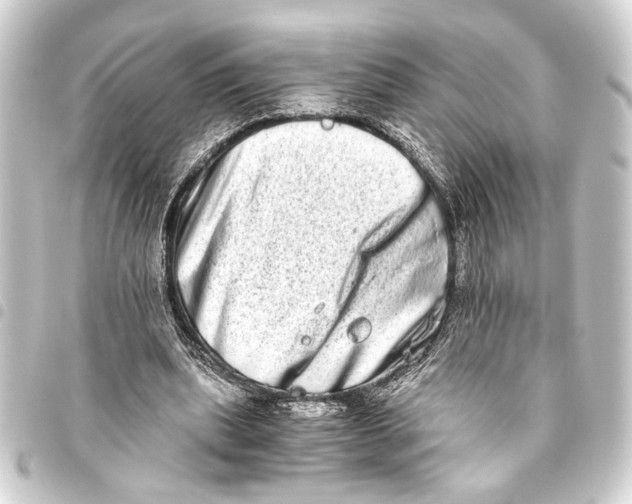 X0000093460439200711021137