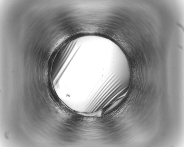 X0000093460440200711021137