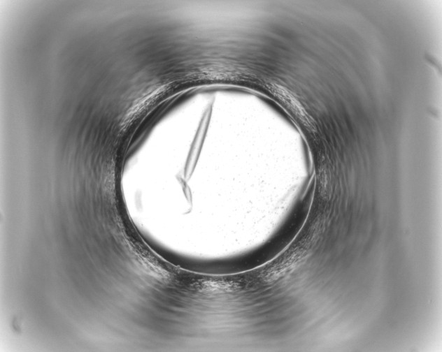 X0000093460442200711021138