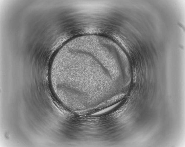 X0000093460443200711021138