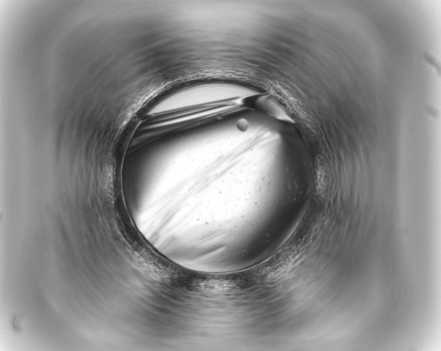 X0000093460444200711021138