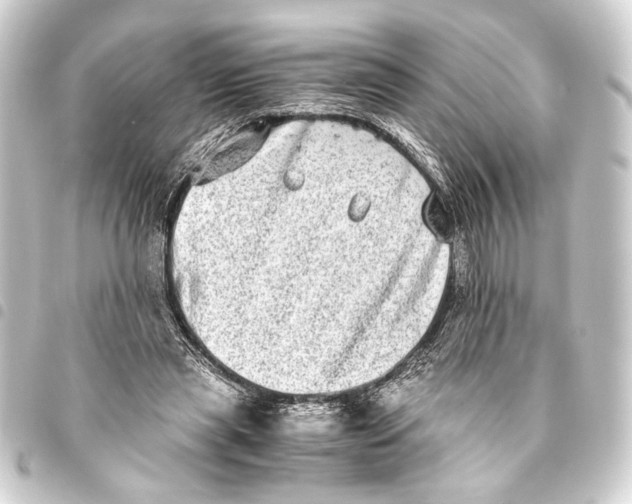 X0000093460445200711021138