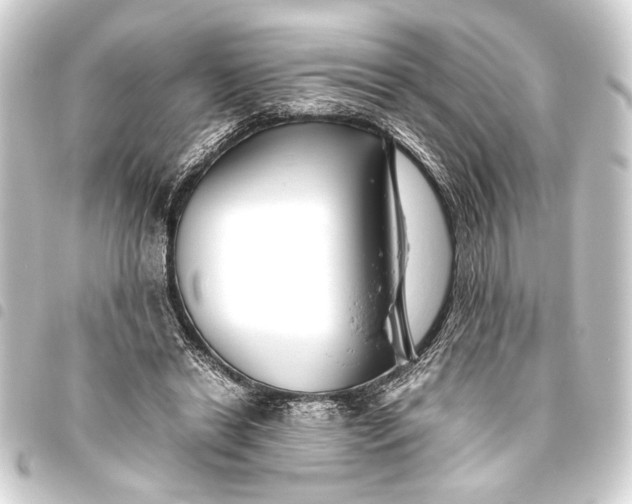 X0000093460446200711021138