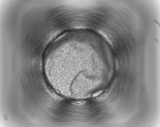 X0000093460447200711021138