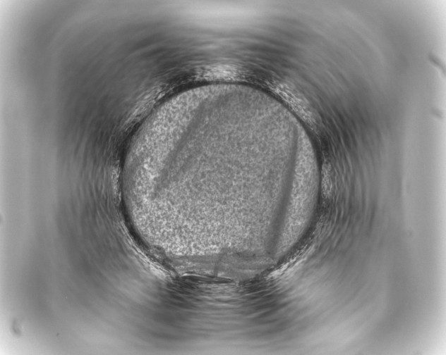 X0000093460449200711021138