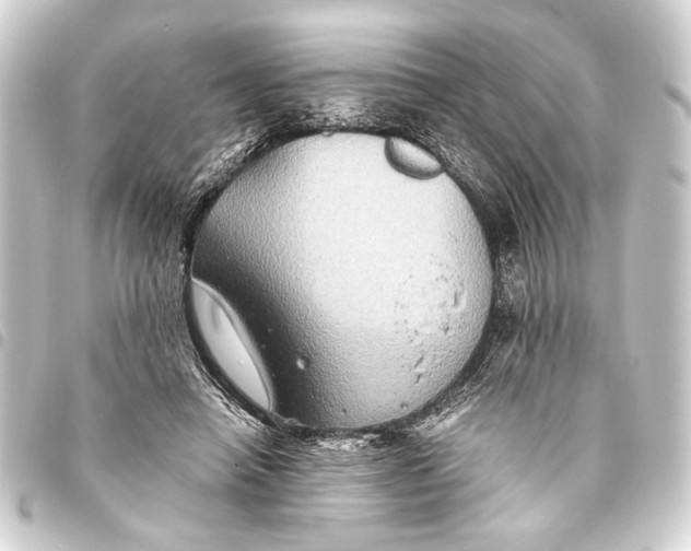 X0000093460450200711021138