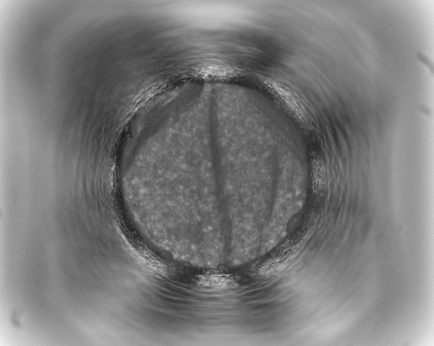 X0000093460451200711021138