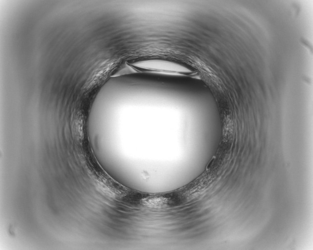 X0000093460452200711021138